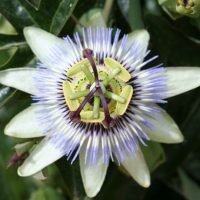 Ontwerp zonder titel (16)