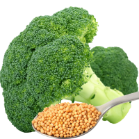 Ontwerp zonder titel (4)