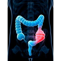 Ontwerp zonder titel(20)